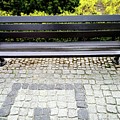 Lonely bunch