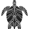 Maori Turtle