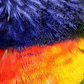 Natural Painter